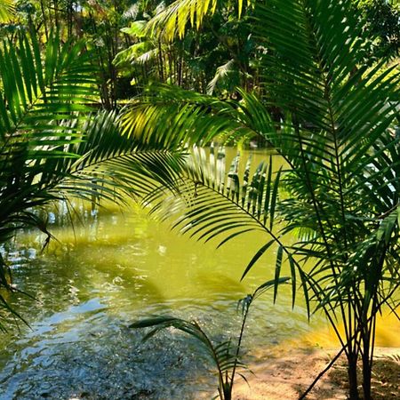 فندق Pousada Beira Rio Barrerinhas باريرينهاس المظهر الخارجي الصورة