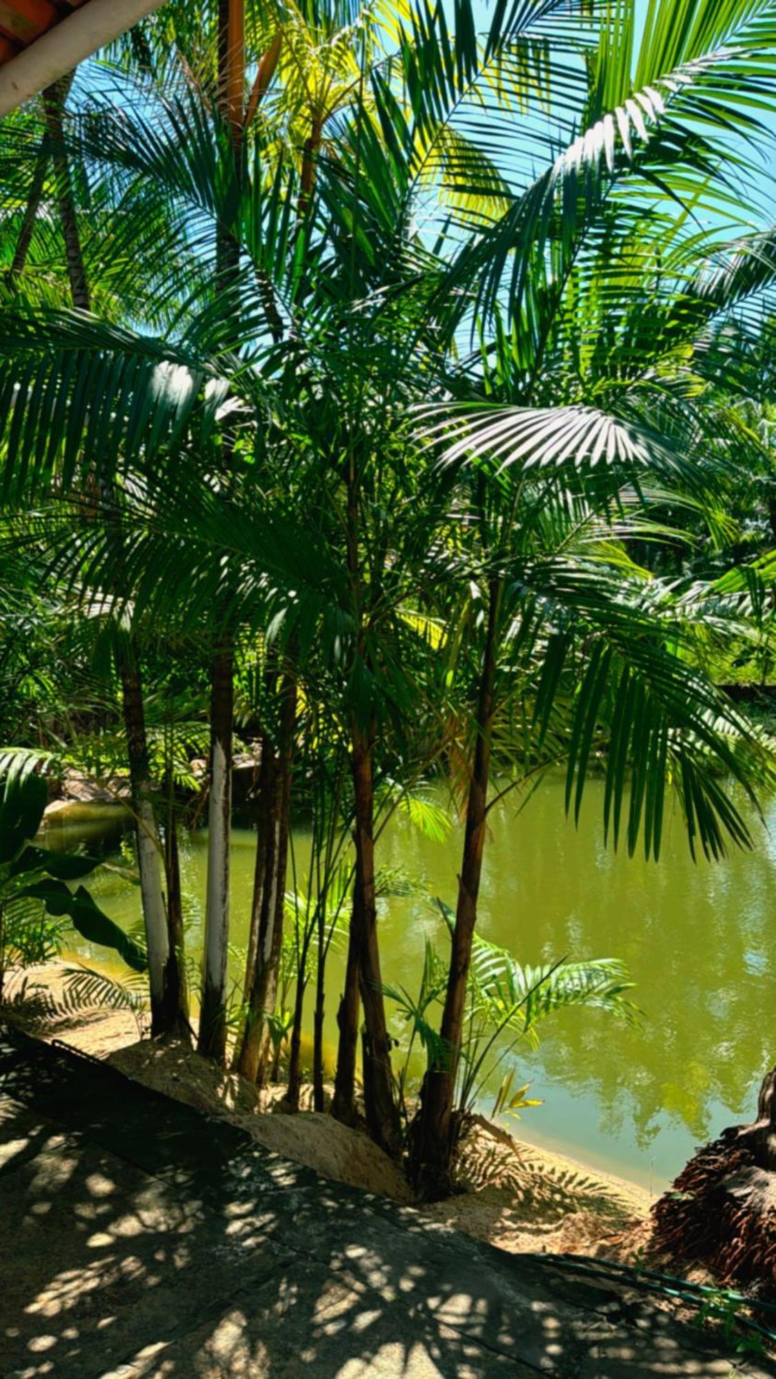 فندق Pousada Beira Rio Barrerinhas باريرينهاس المظهر الخارجي الصورة