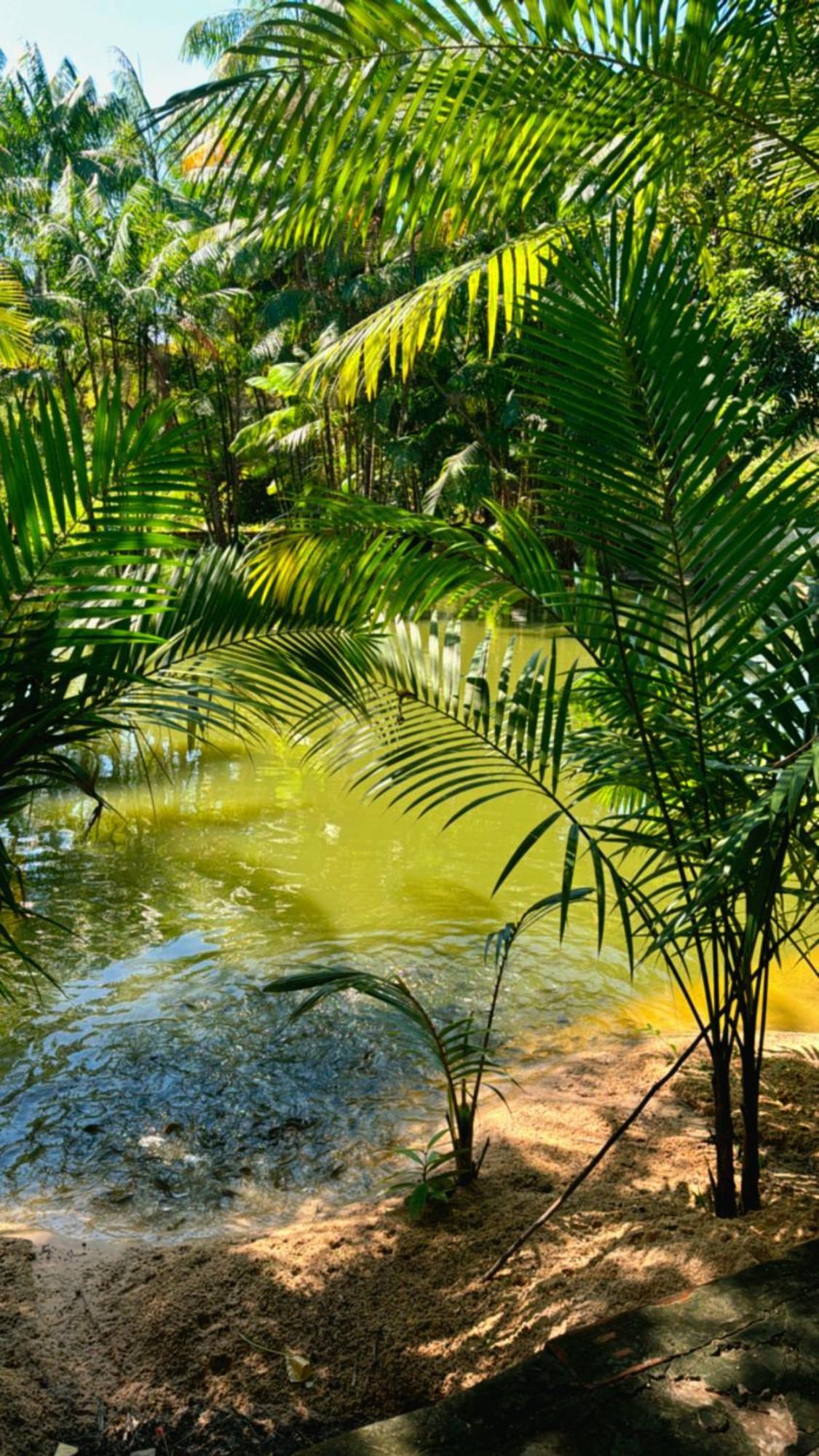فندق Pousada Beira Rio Barrerinhas باريرينهاس المظهر الخارجي الصورة