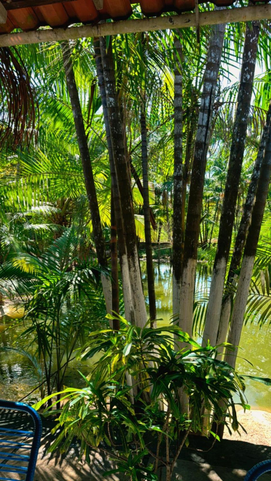 فندق Pousada Beira Rio Barrerinhas باريرينهاس المظهر الخارجي الصورة