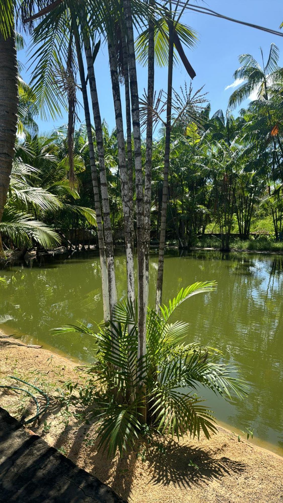 فندق Pousada Beira Rio Barrerinhas باريرينهاس المظهر الخارجي الصورة